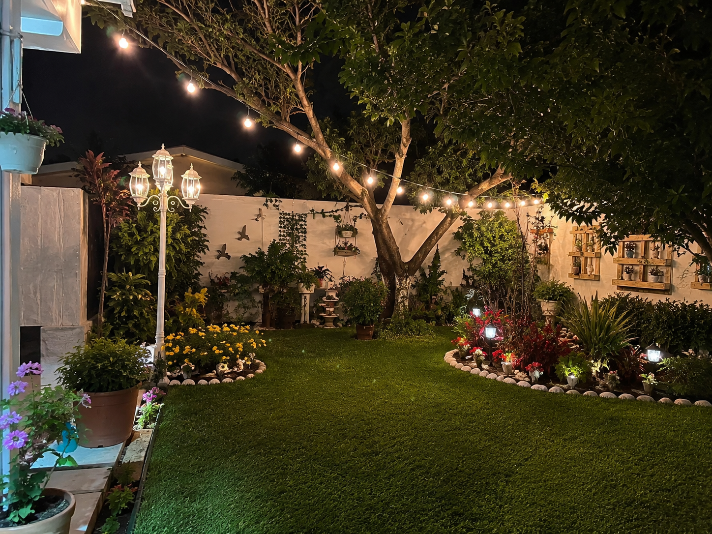 Jardín de noche